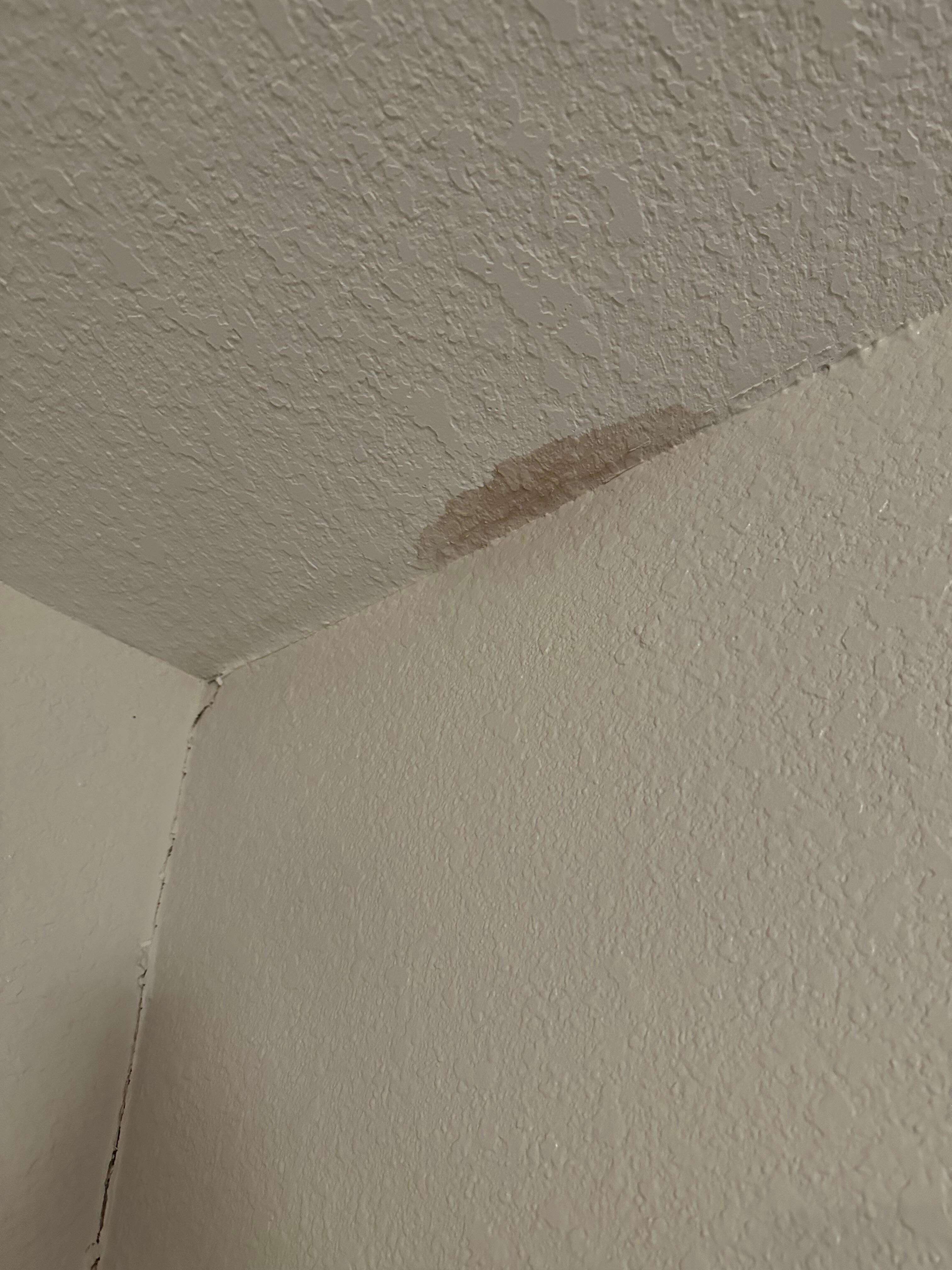 Water stained ceiling
