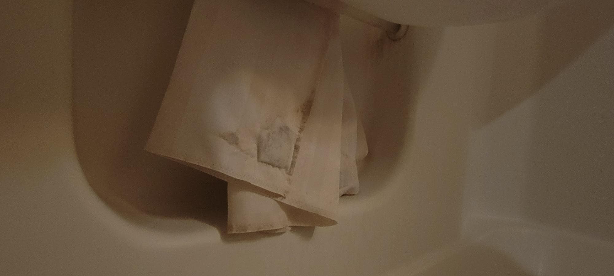 moldy shower curtain