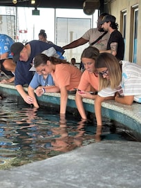 Feeding the sting rays at the Aquarium