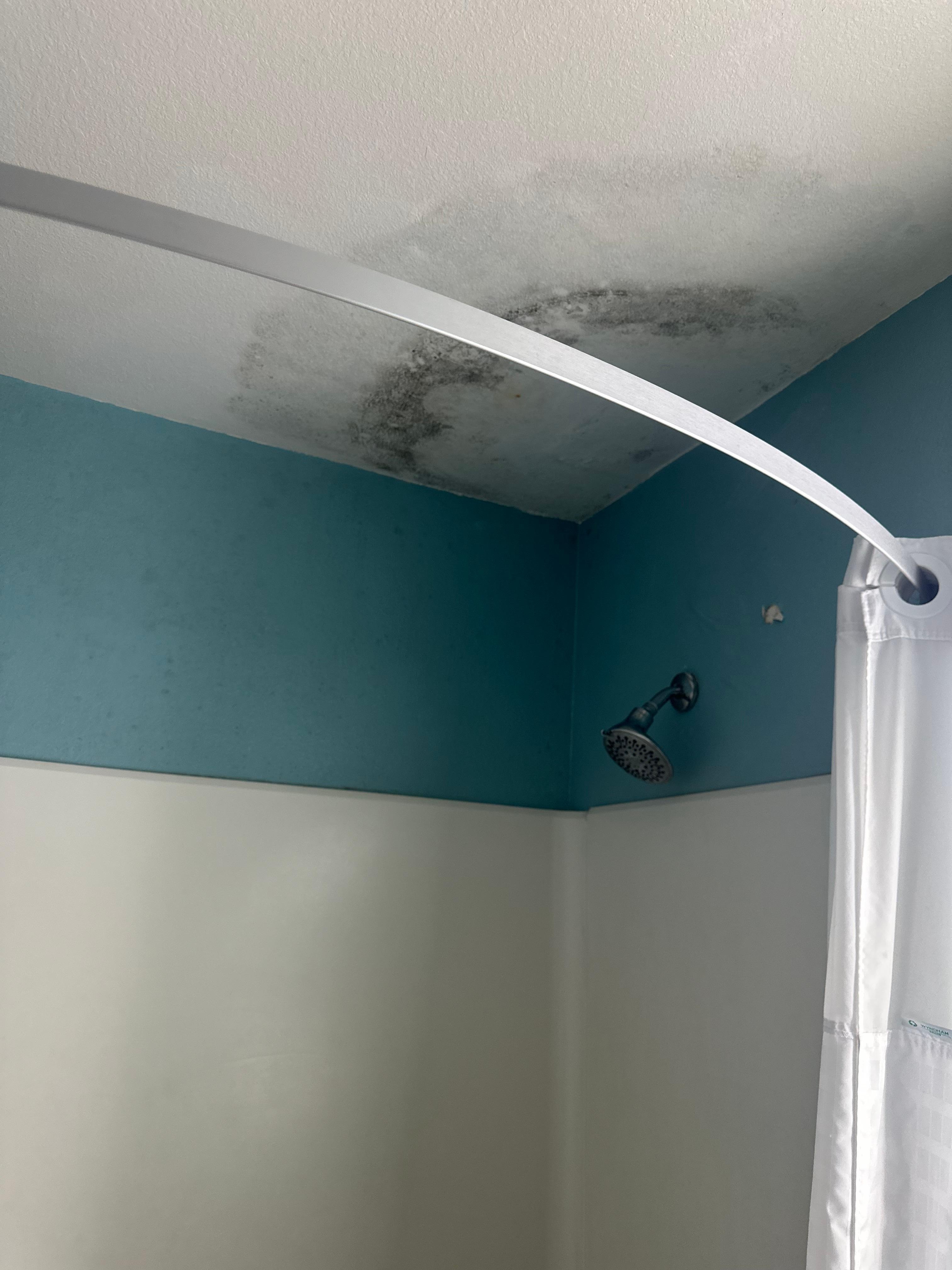 Mold in the shower area. 