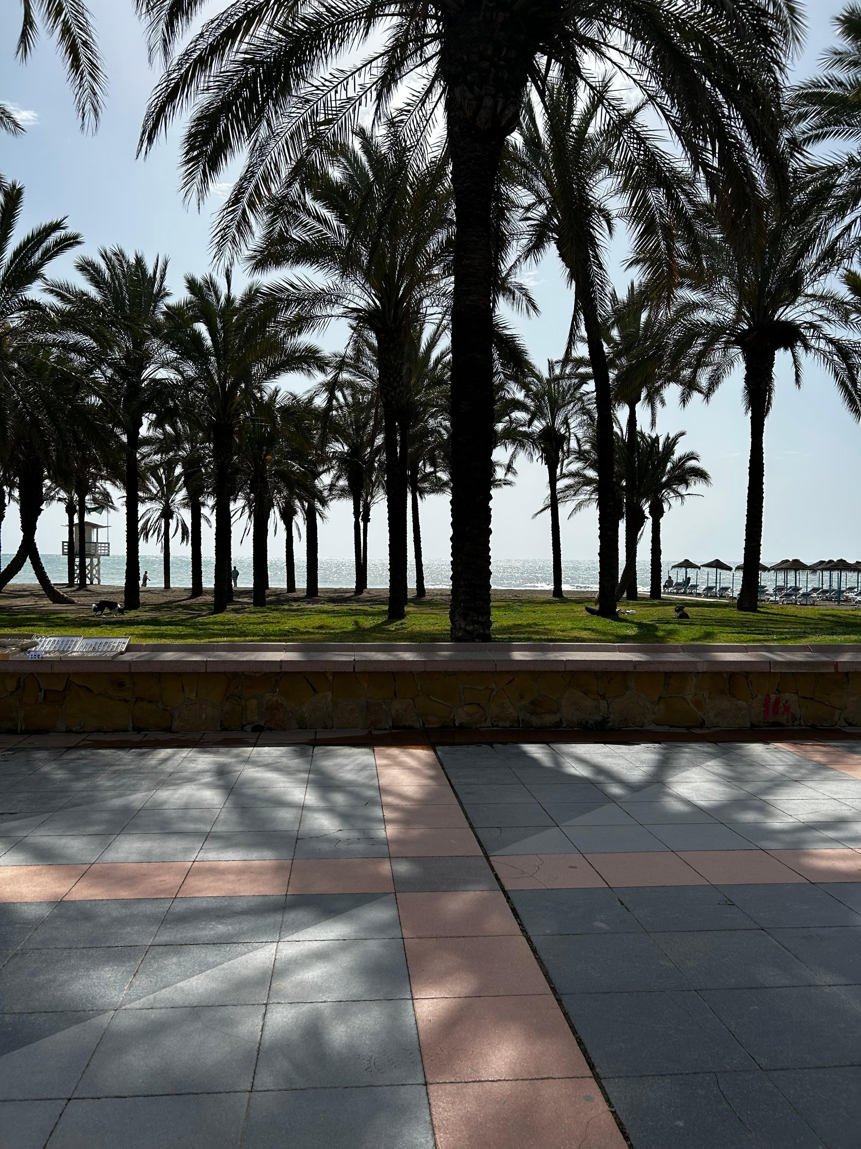 Walking in Torremolinos along the beach