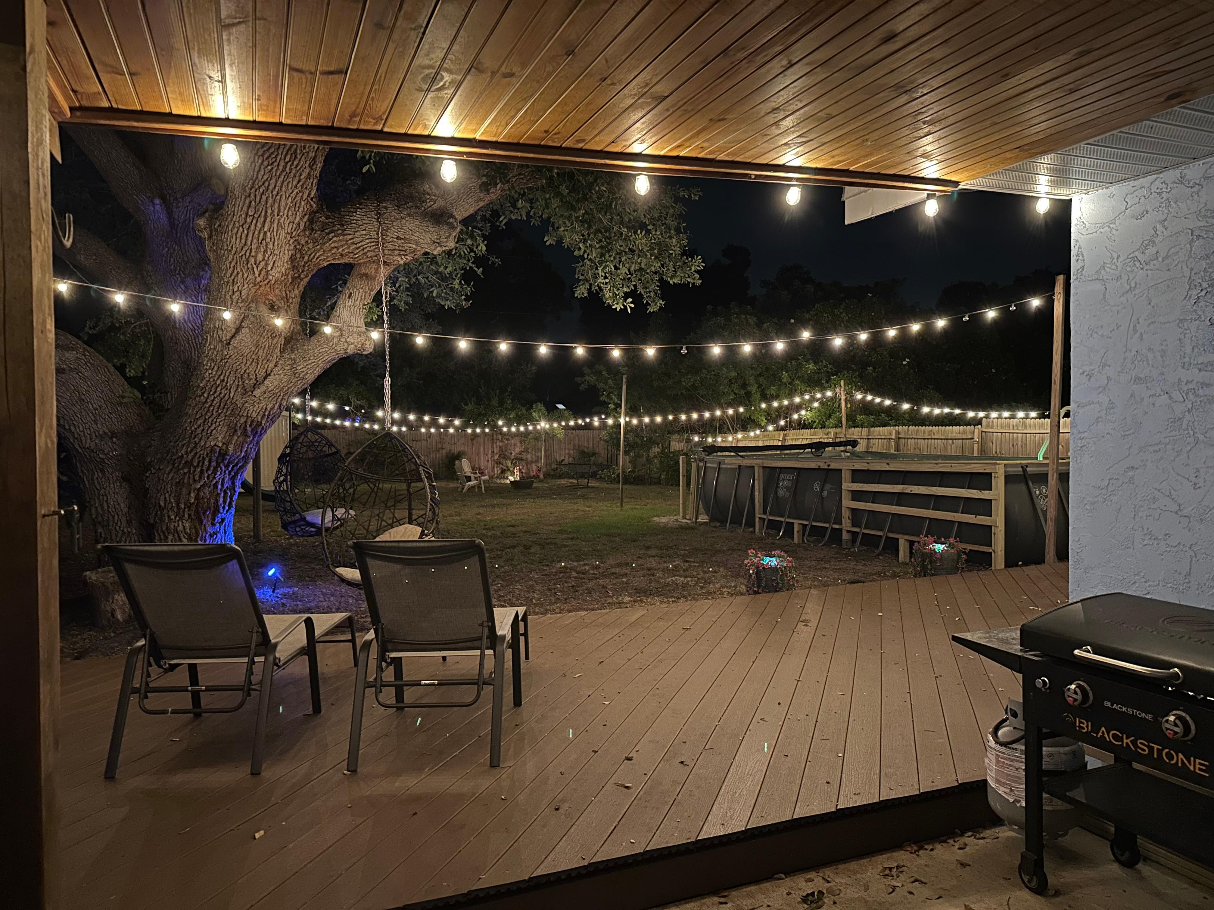 Night time in the back yard.