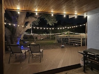Night time in the back yard.