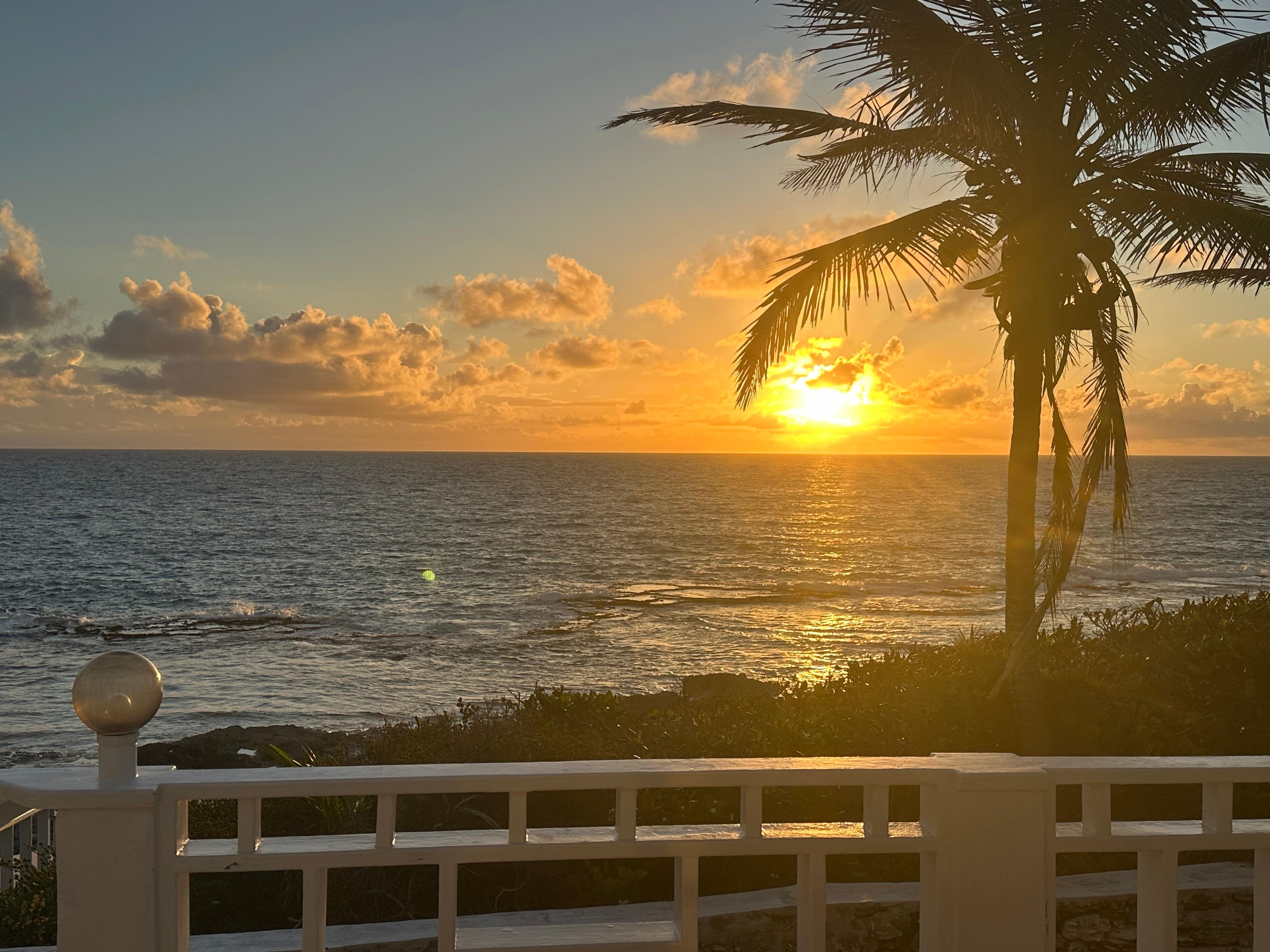 Sunrise from the back porch.