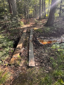 Planks to walk over to get to beach