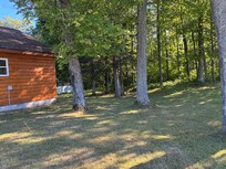 Great area around the cabin for our dog to run!