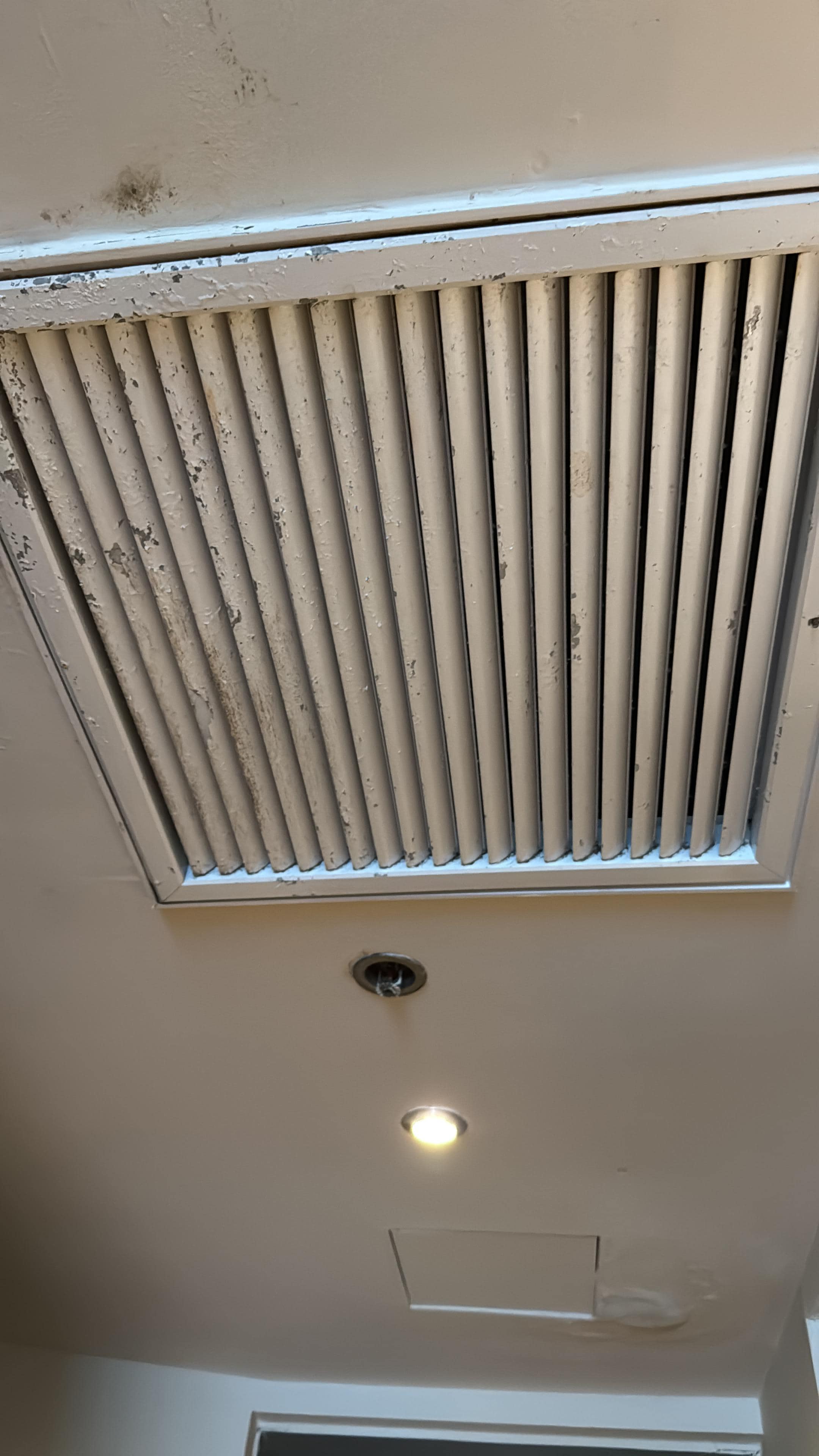 This is the air conditioner in the bedroom , you can see the paint chipping and mildew coming out . 