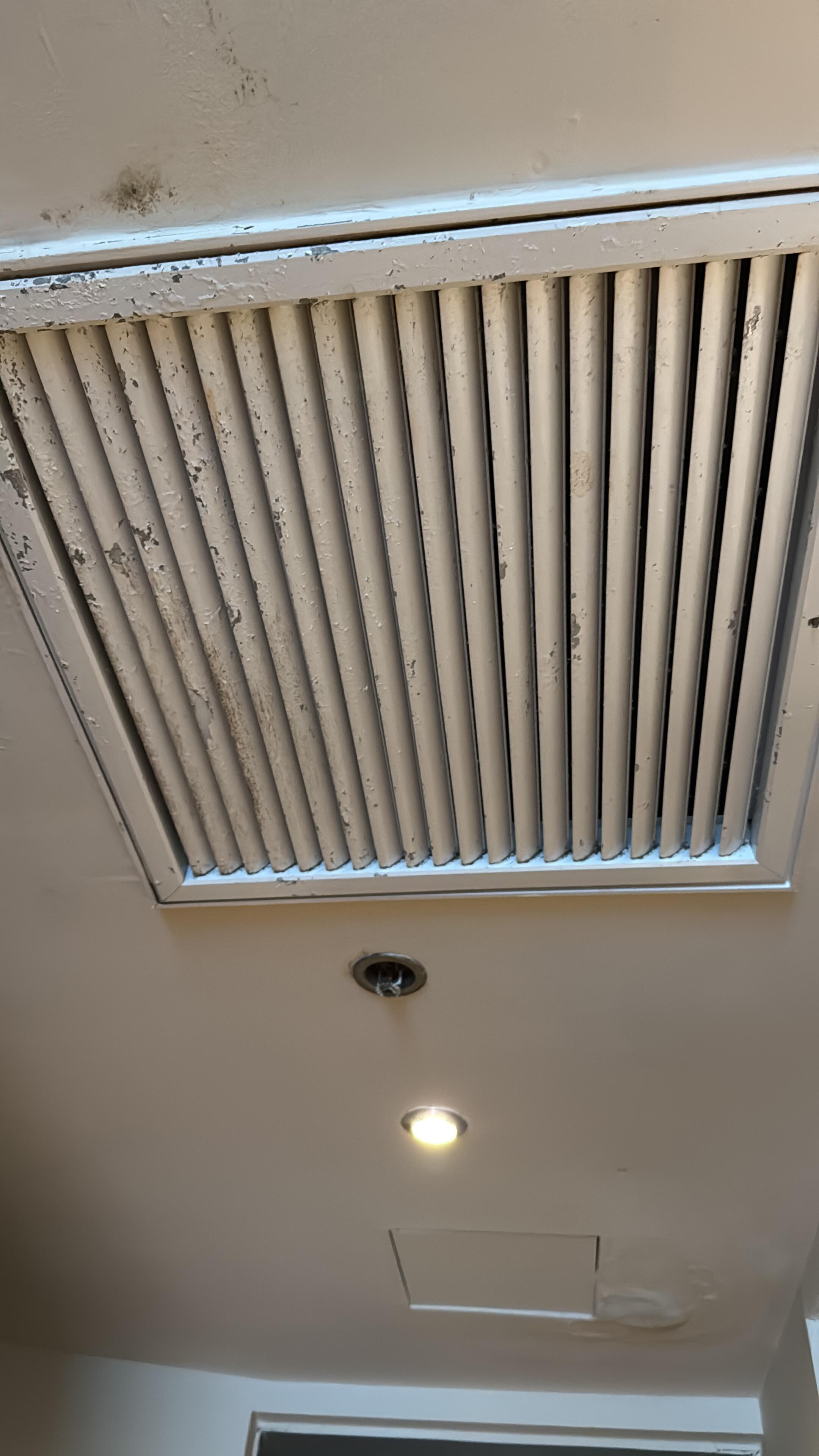 This is the air conditioner in the bedroom , you can see the paint chipping and mildew coming out . 