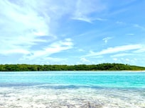 Cottage's view