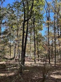 Serene view from deck, so peaceful.