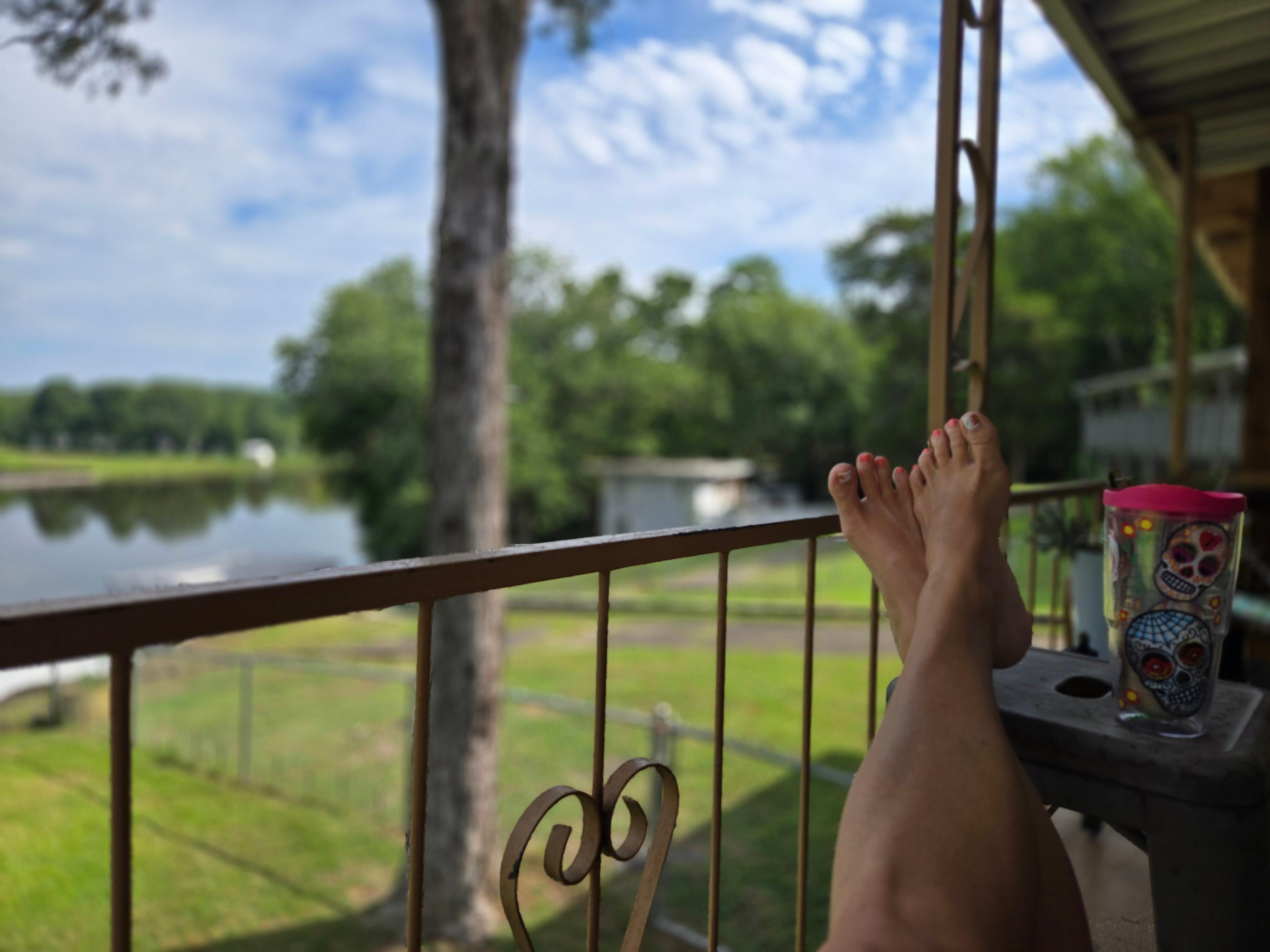 Quiet morning on the back porch
