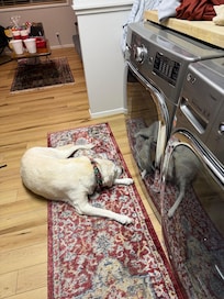 Wonderful washer and dryer! We all found it helpful when we stayed for a week.