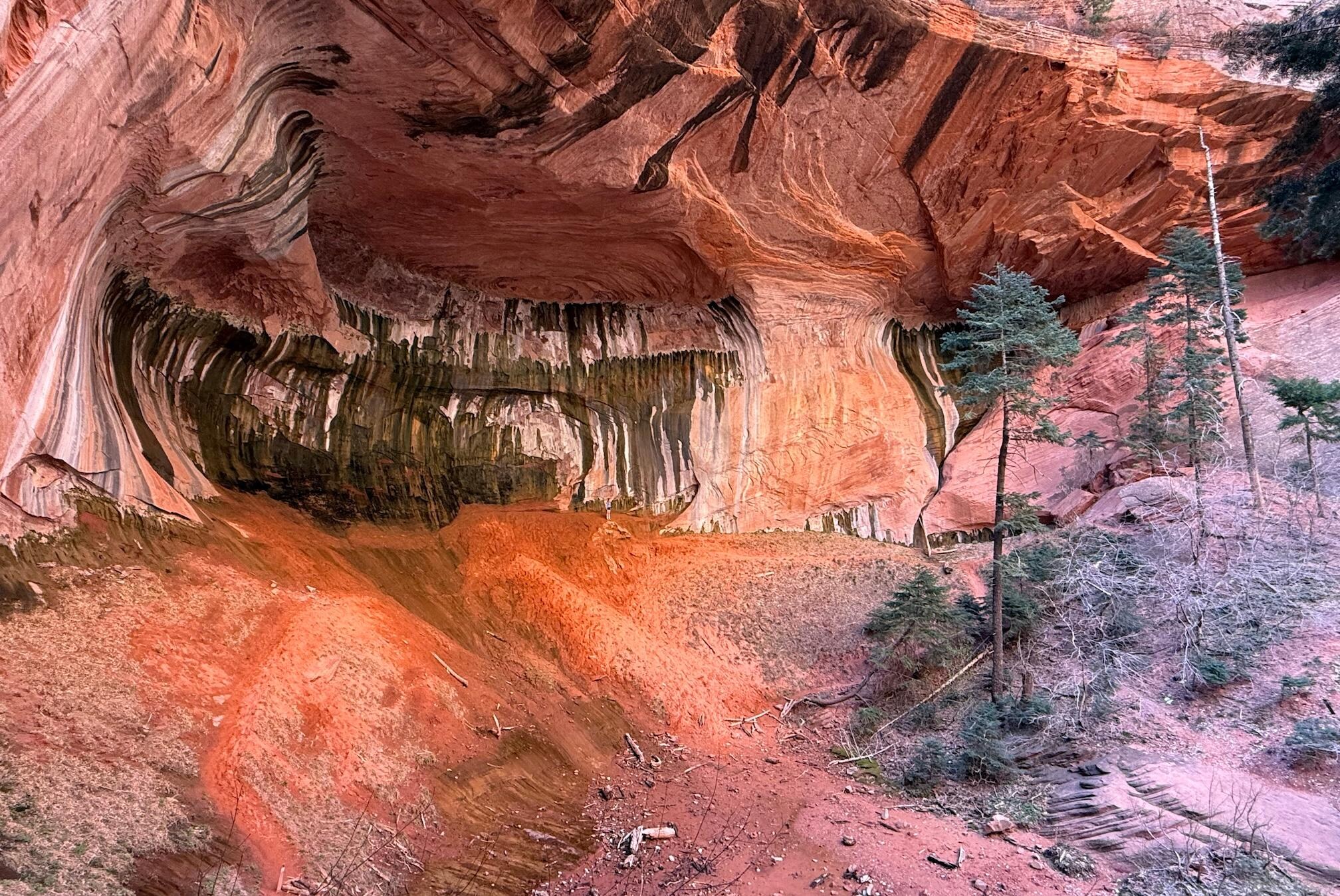 Middle Taylor Creek Trail in Kolob Canyon area