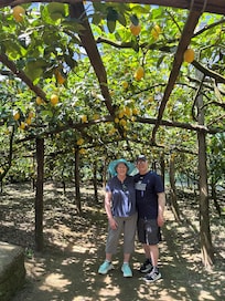 Lemon & Oil farm trip in the hills outside Sorrento