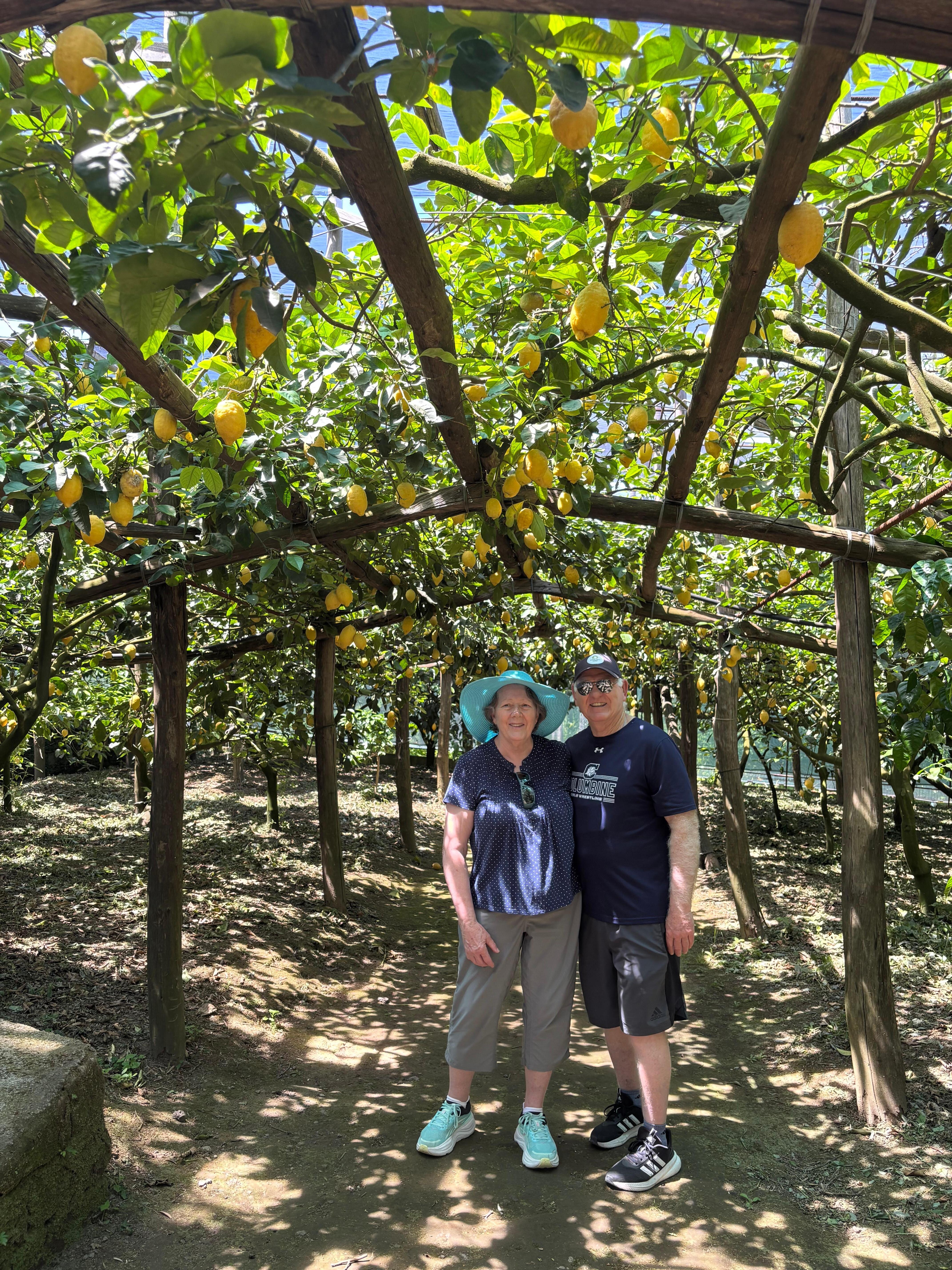 Lemon & Oil farm trip in the hills outside Sorrento 