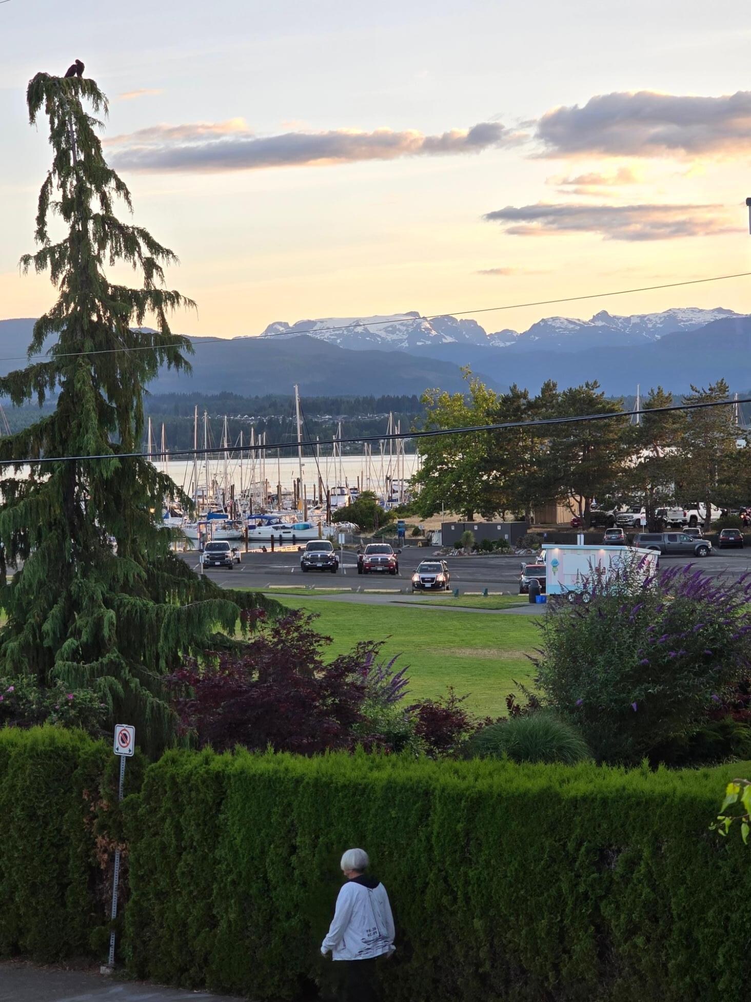 Views of the harbor in the evening at low tide.