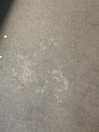 carpets ( stained)
