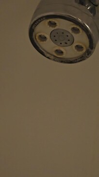 Calcium build up on shower head