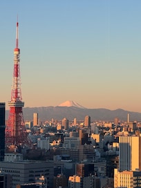 View from the restaurant/ breakfast room