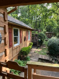 View from the porch of the side yard