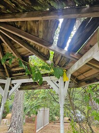 gazebo in real life and its all like that, you will only let me load 8 pics