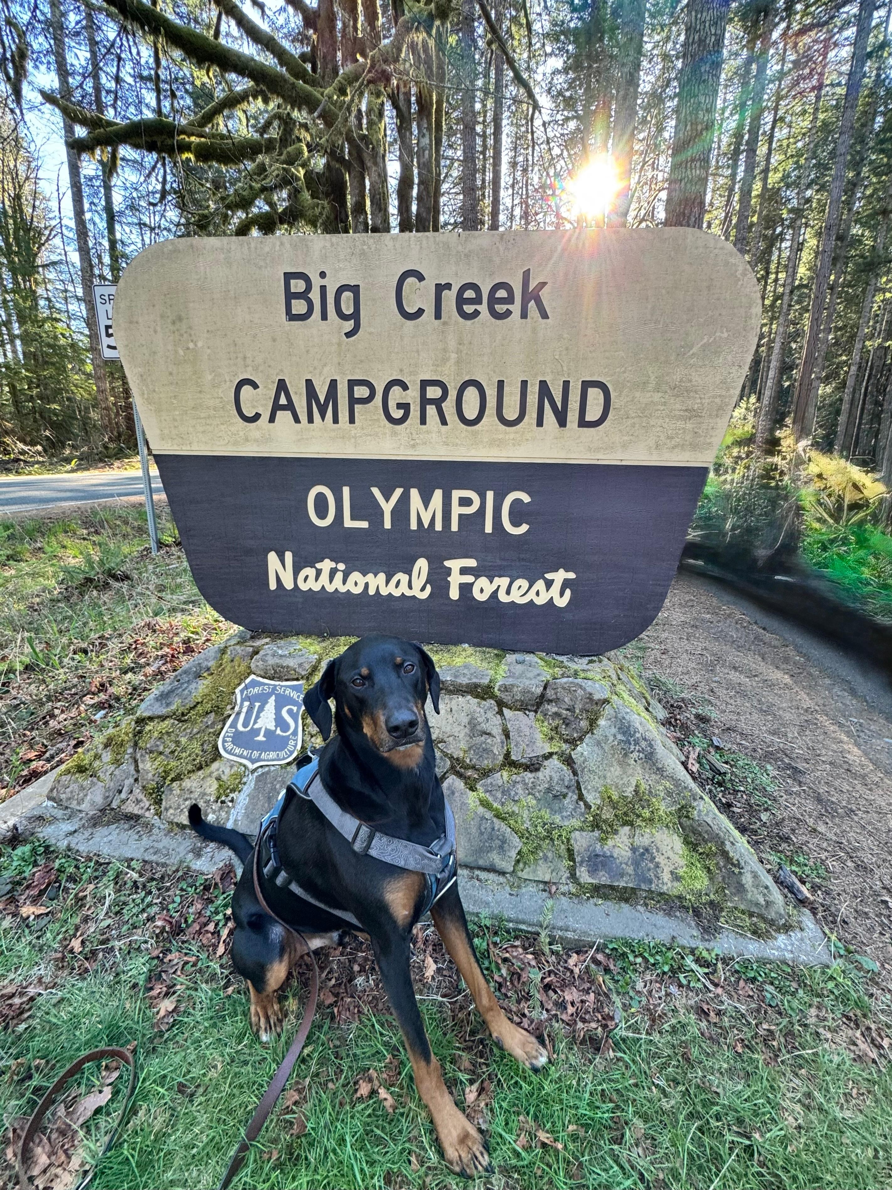 Great hiking experience 