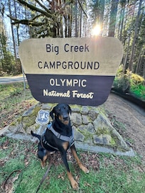 Great hiking experience