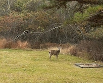 Right in the backyard of the property!