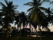 Picture from the pool