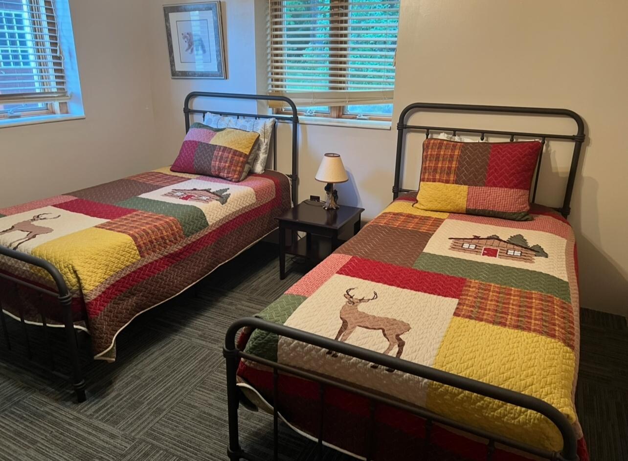 Downstairs bedroom 