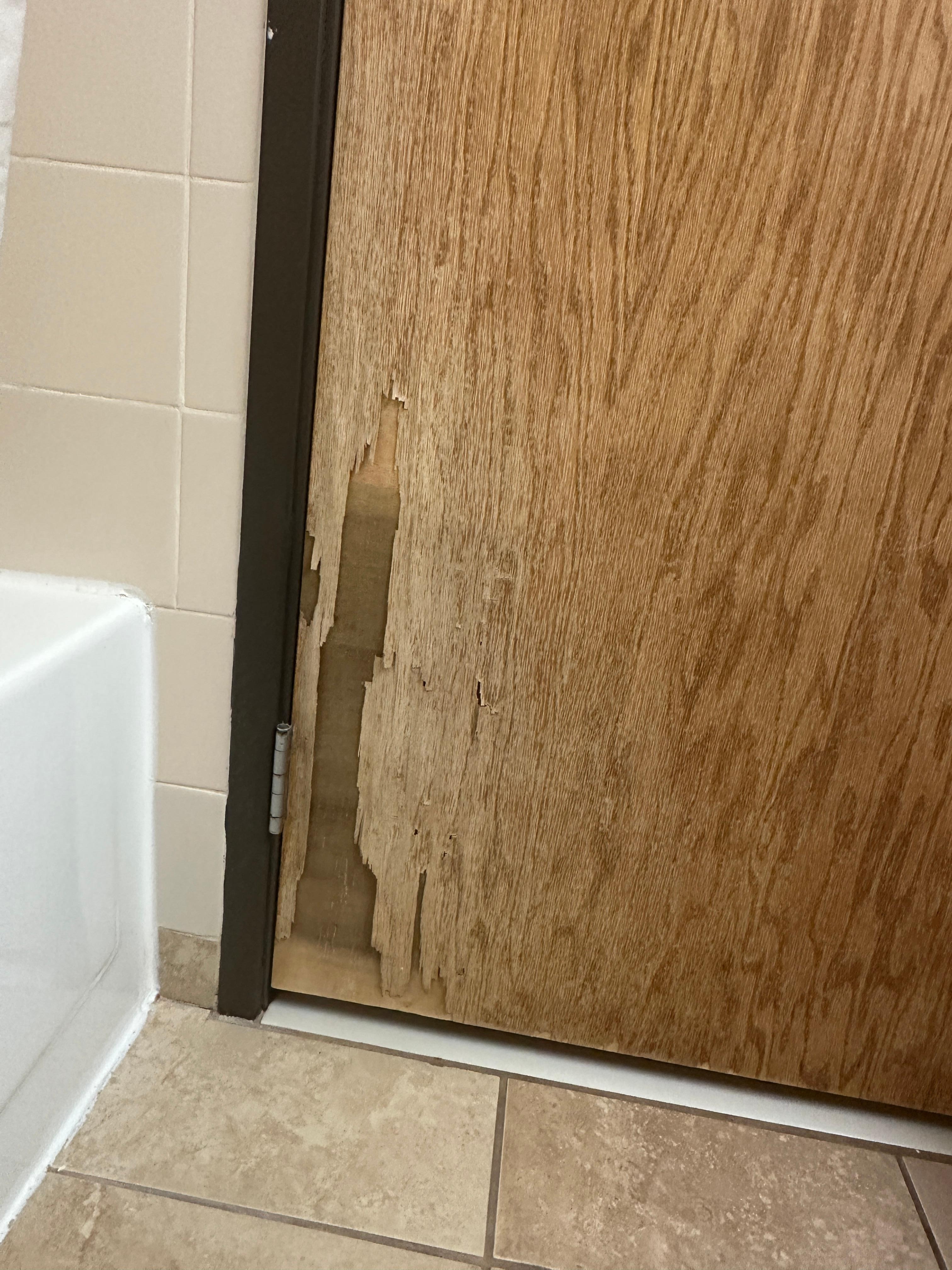 Bathroom door