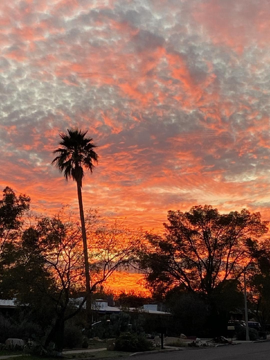 Sunset from the neighborhood!