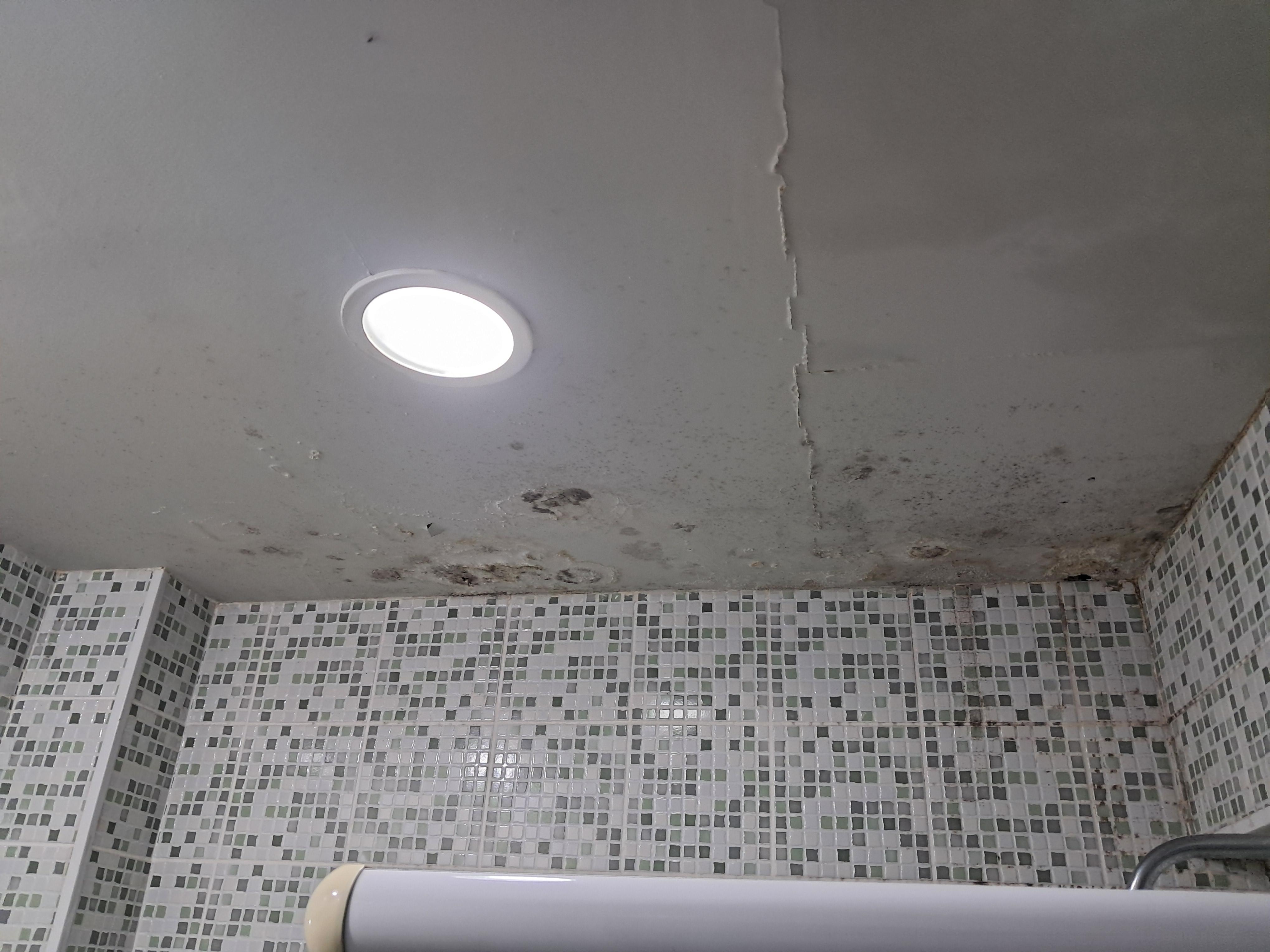 teto do banheiro com infiltrações.