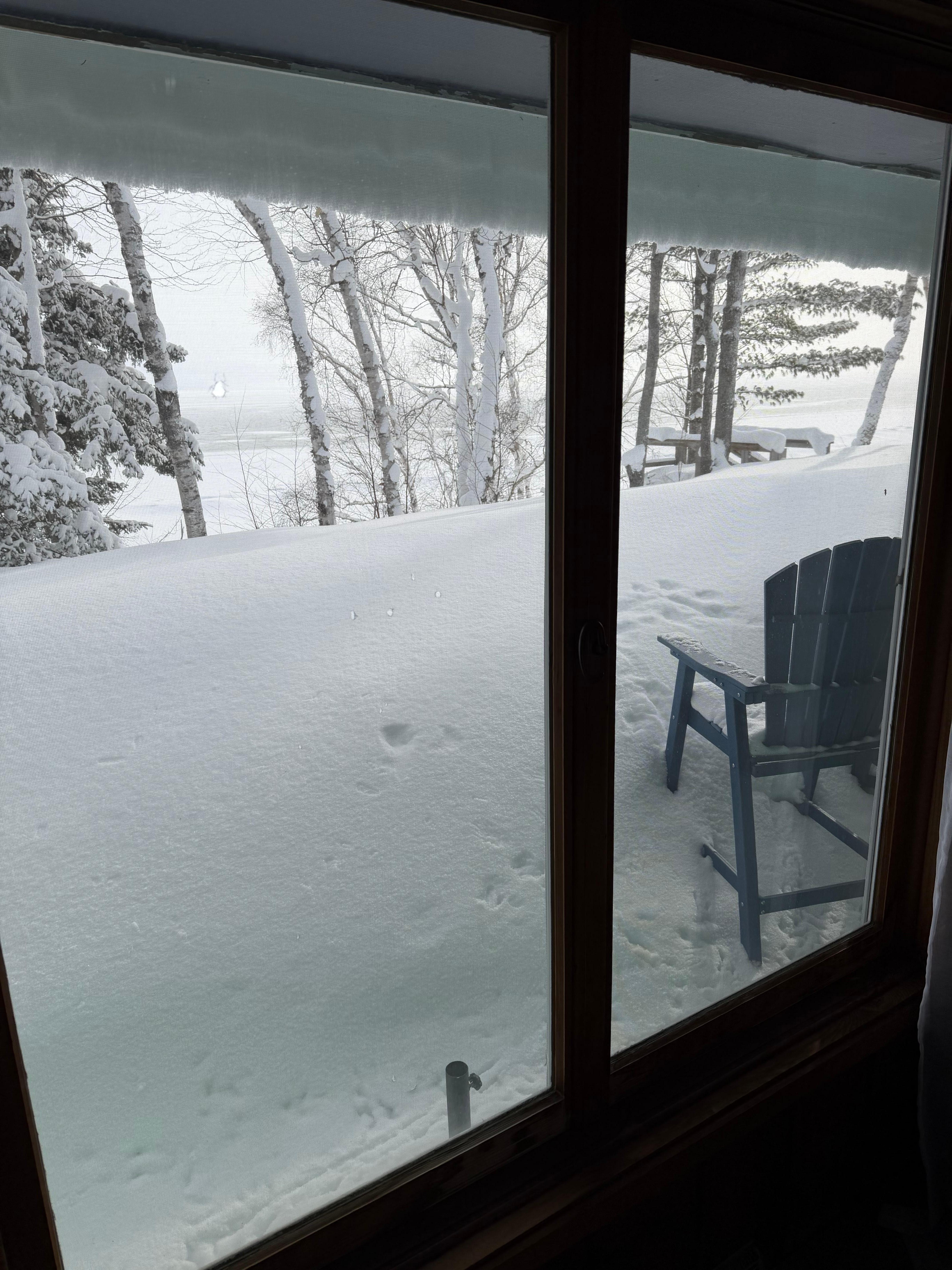 Snow heaven in winter! 