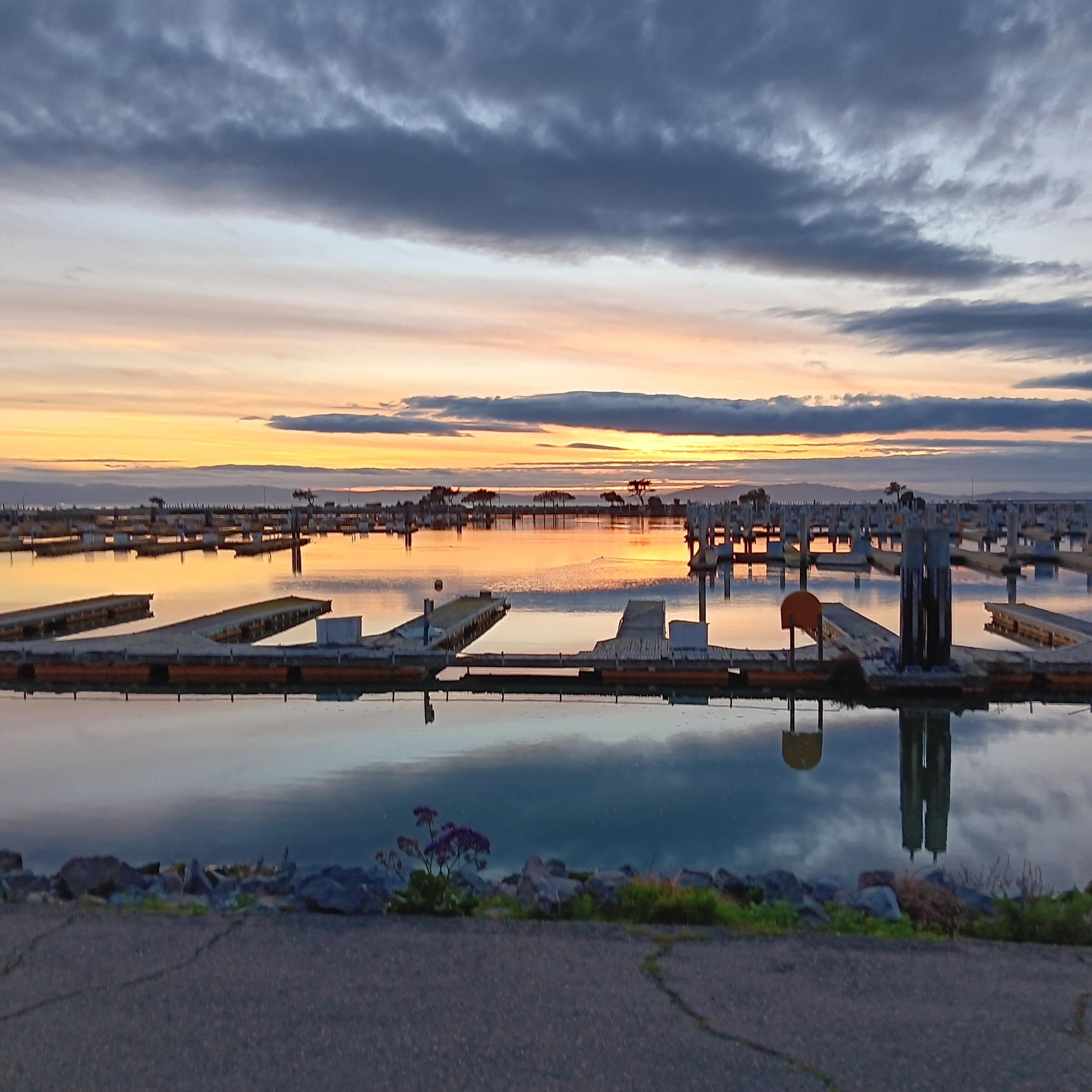 Marina sunset.