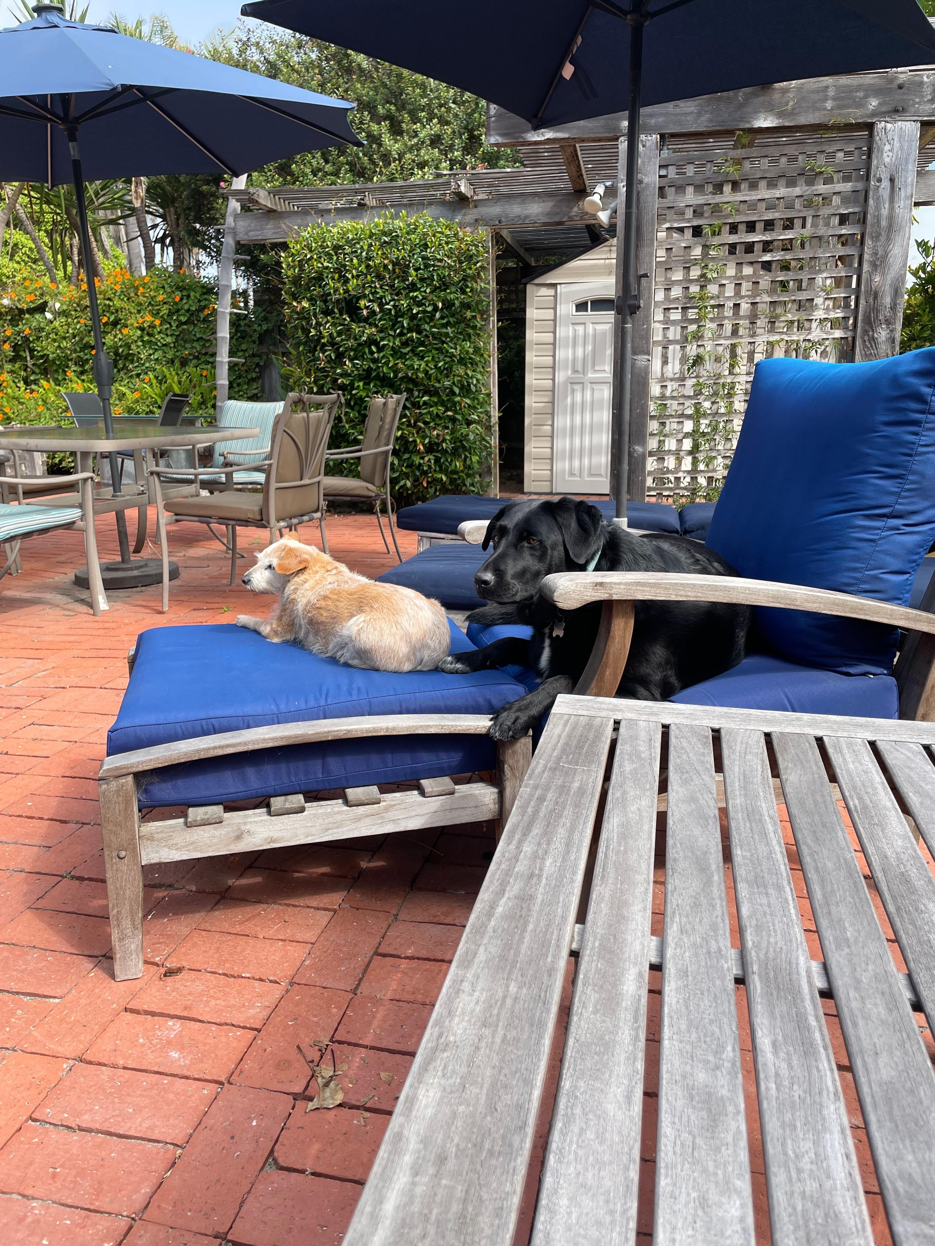 Enjoying the outside patio 