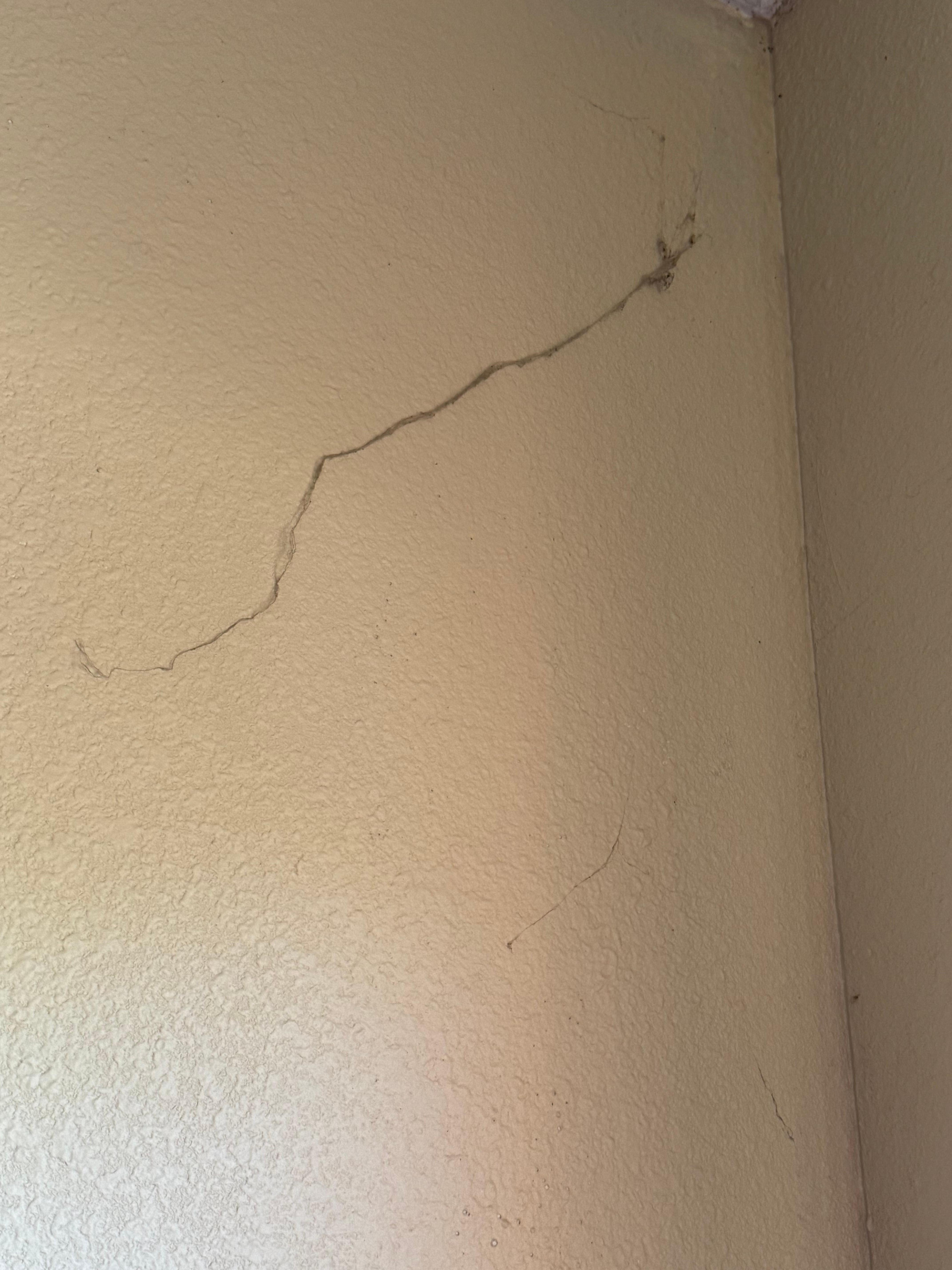 Huge cobwebs in the back room. 