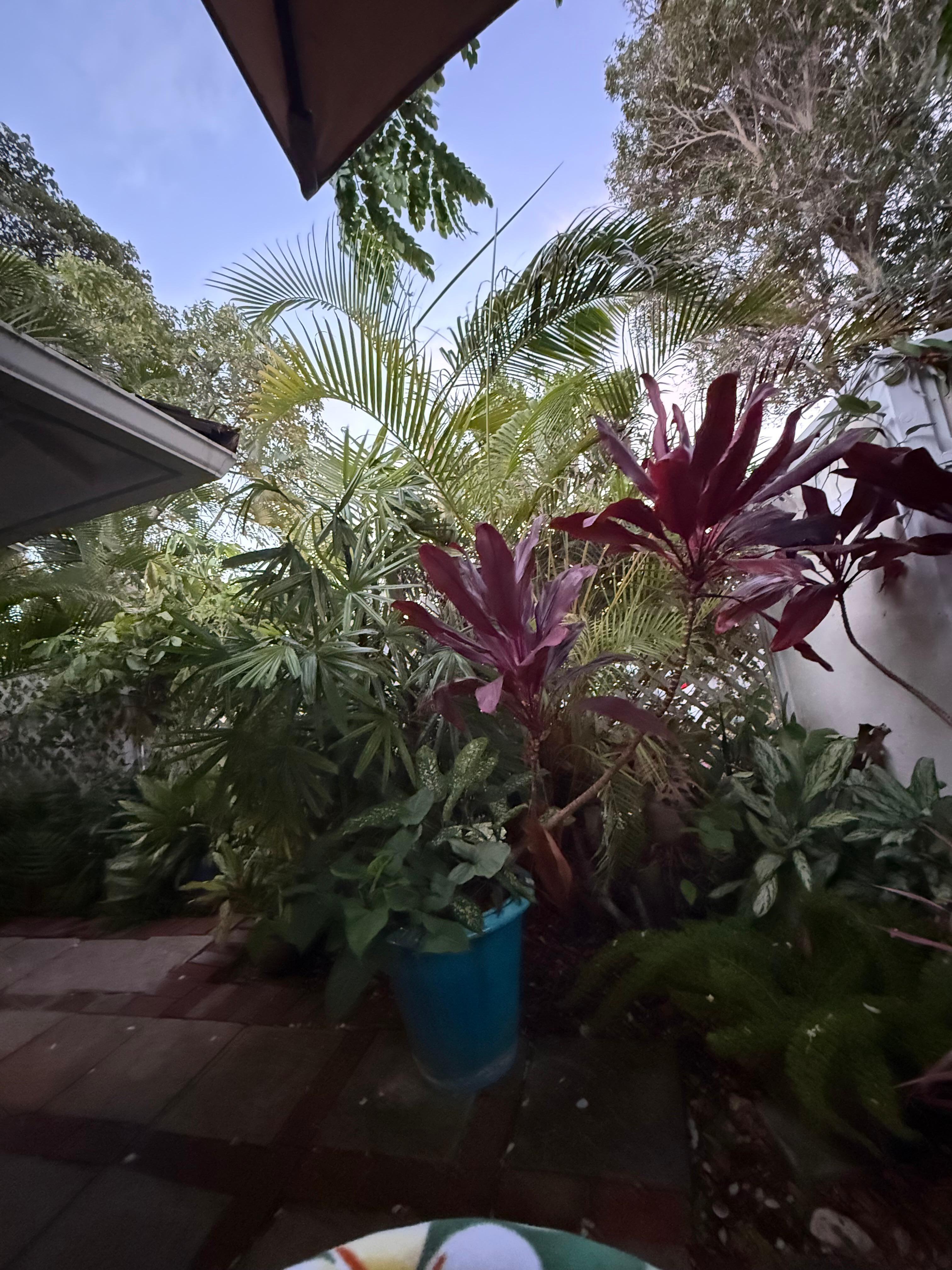 Courtyard to front door. 