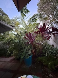 Courtyard to front door.