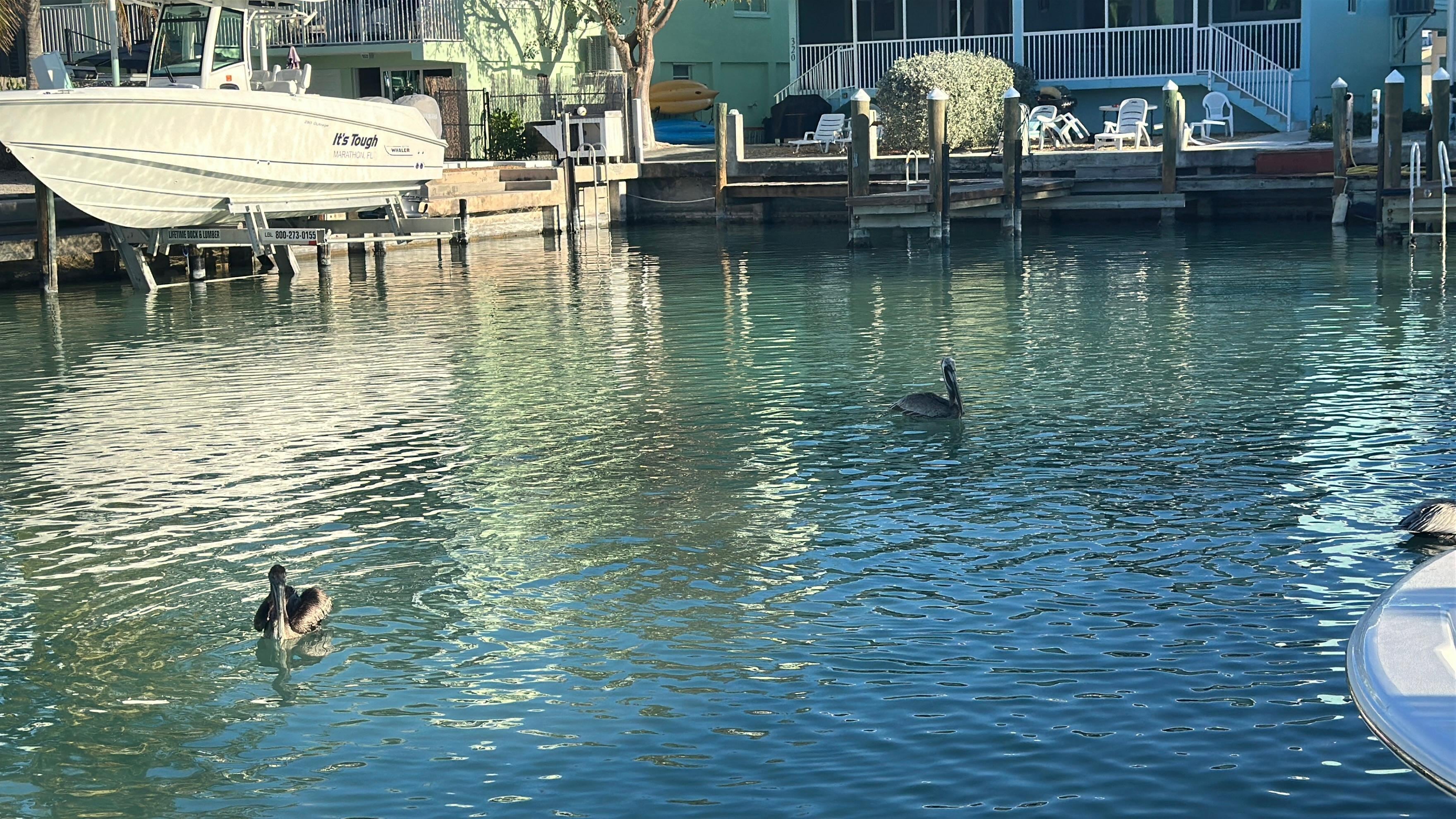 View of canal from
Backyard