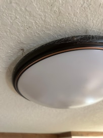 Ceiling light spider webs