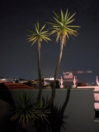 Front balcony by night, with a view to the river.