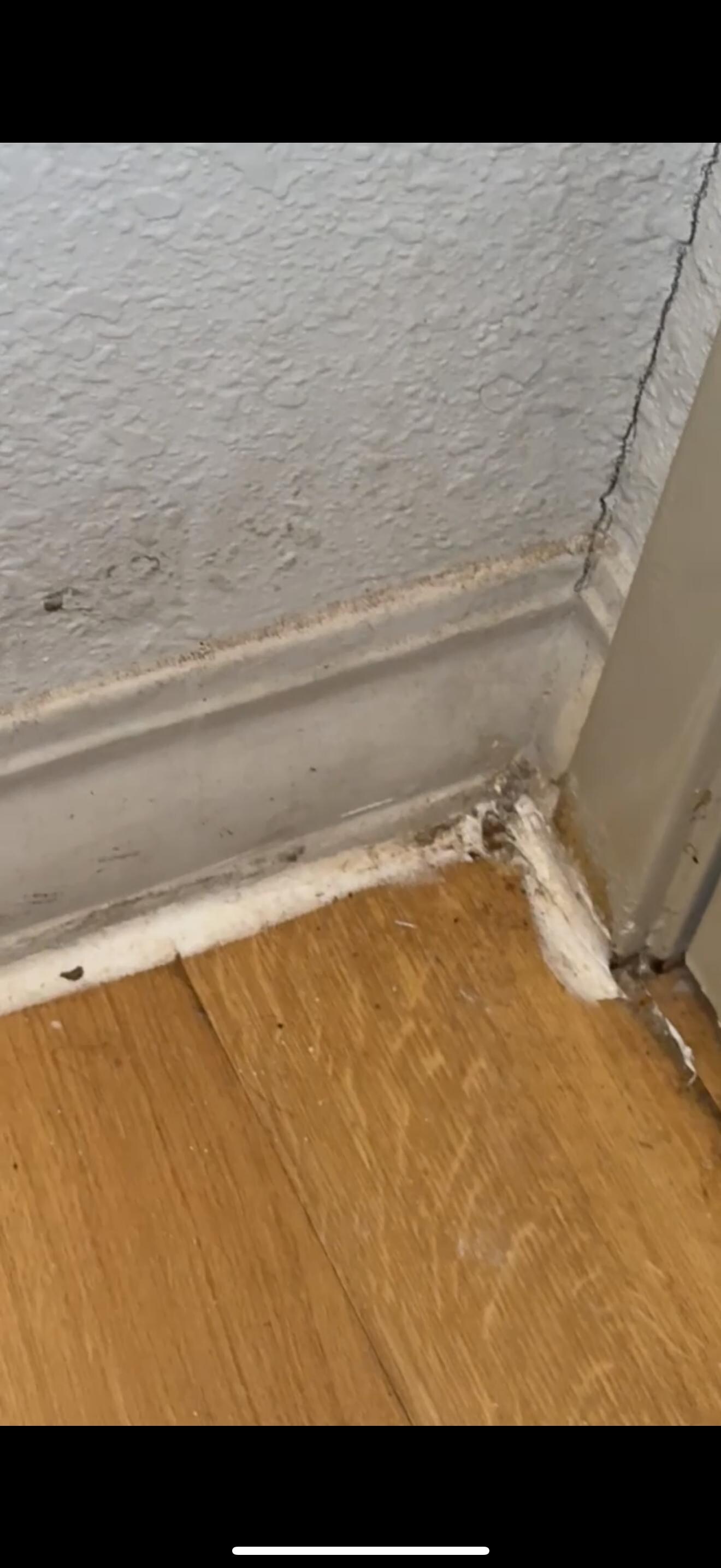 Dirty baseboards/floors 