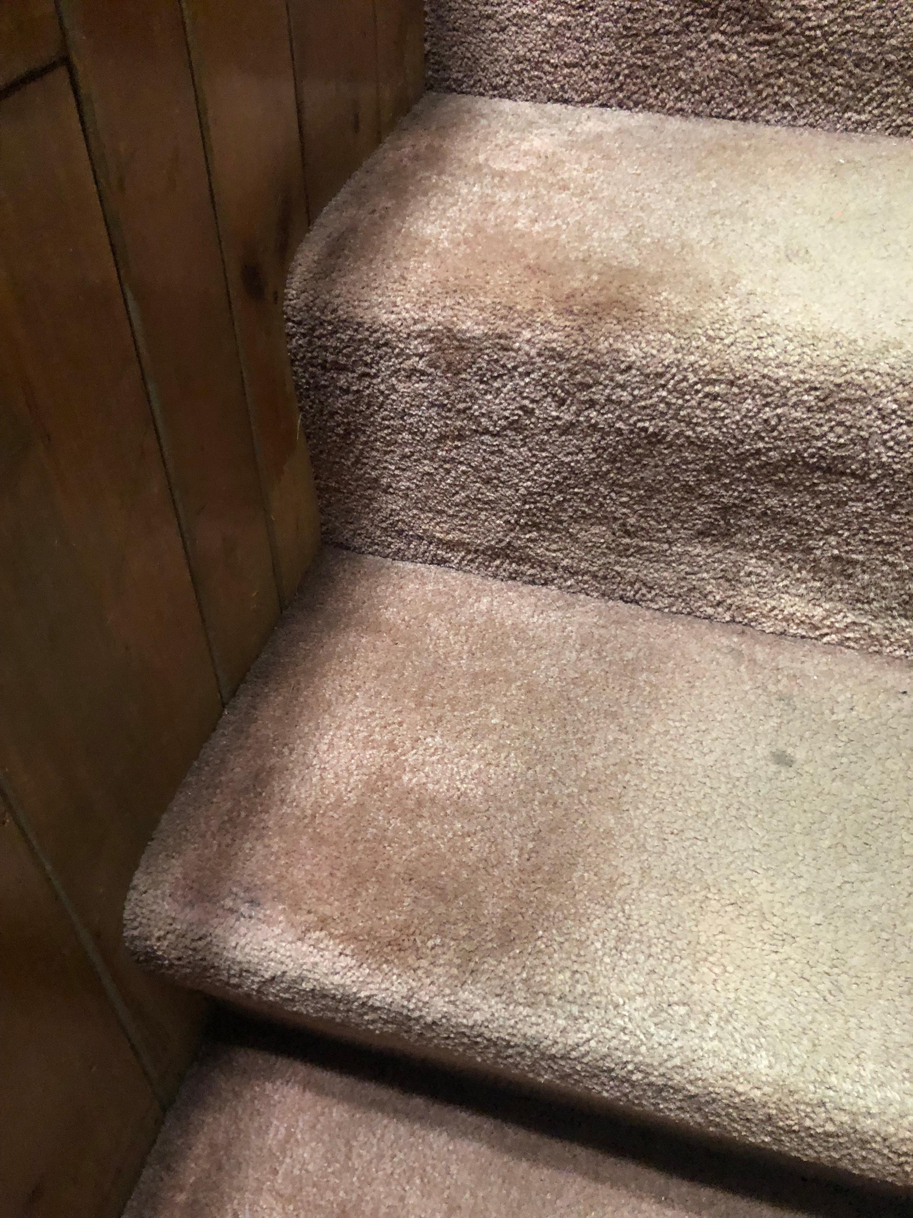 Carpet on the stairs, very old and stained