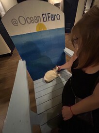 Loved the friendly cats!!!