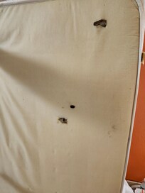 The other bed