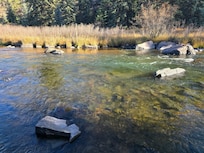 Beautiful stream