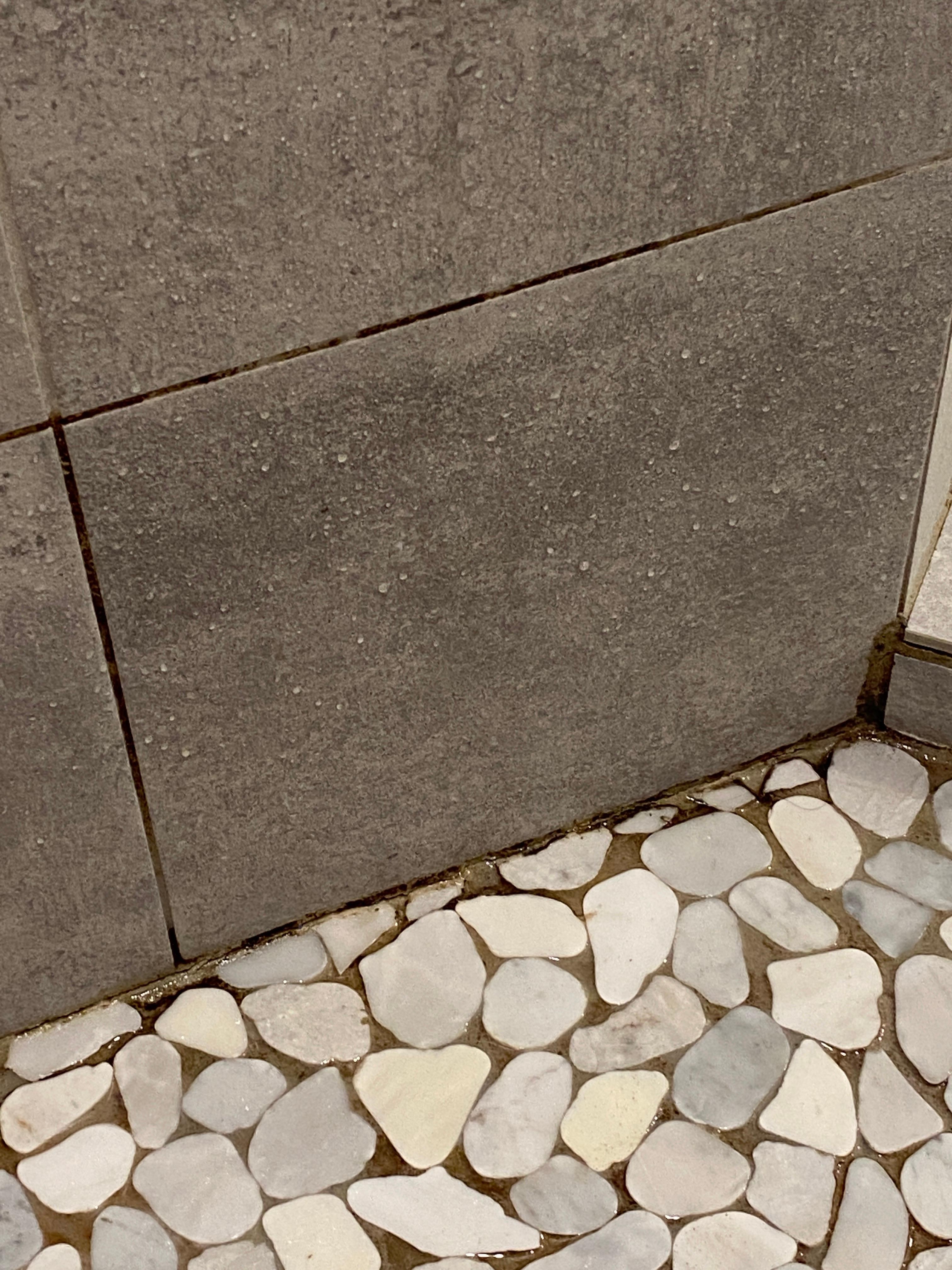 Mold on both sides of shower