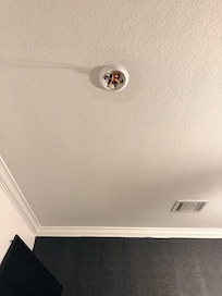 Missing smoke detector