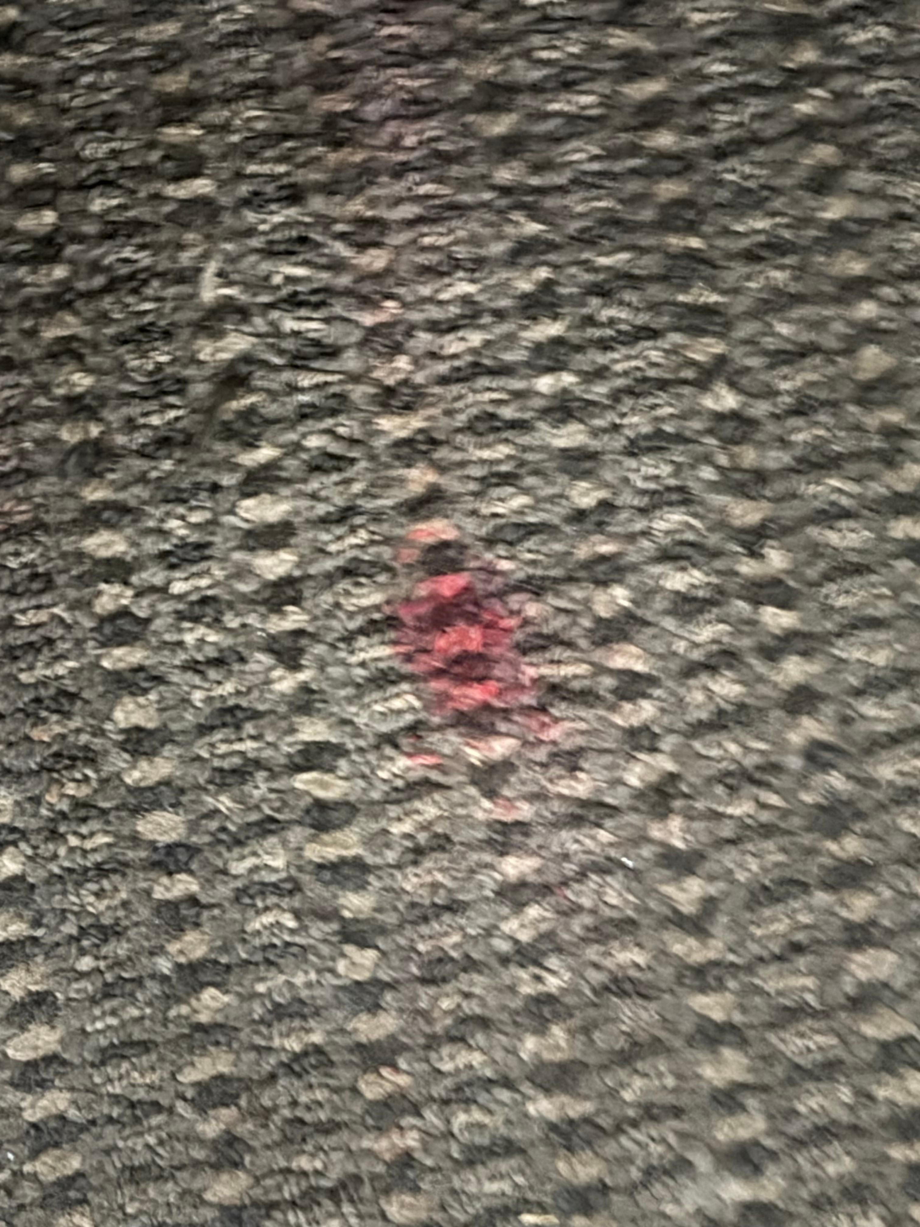 Blood or something else on the carpet